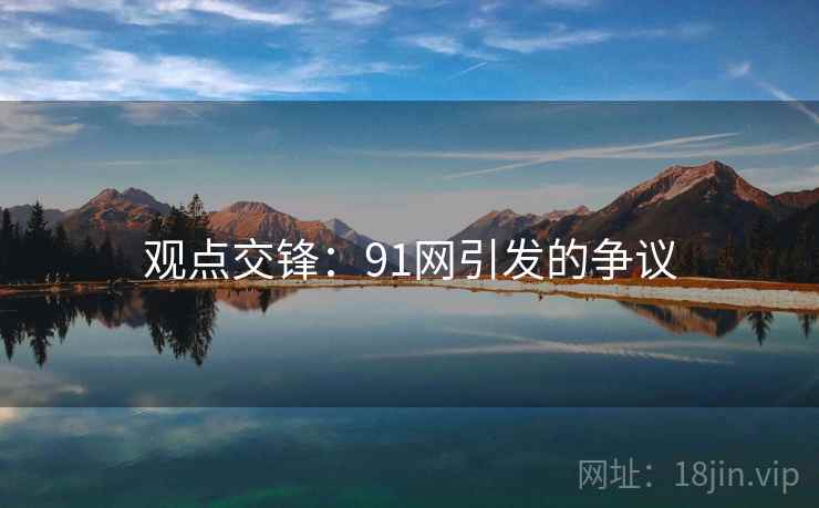 观点交锋：91网引发的争议