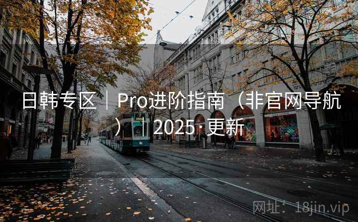 日韩专区|Pro进阶指南(非官网导航)|2025·更新