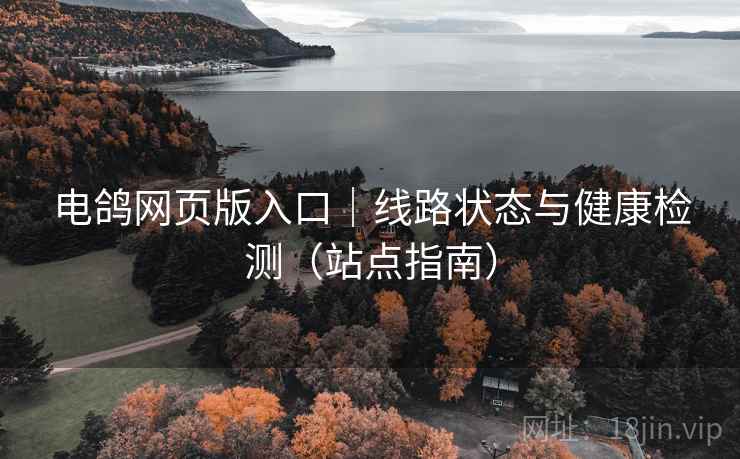 电鸽网页版入口｜线路状态与健康检测（站点指南）