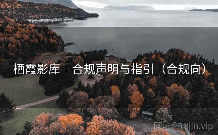 栖霞影库|合规声明与指引(合规向)