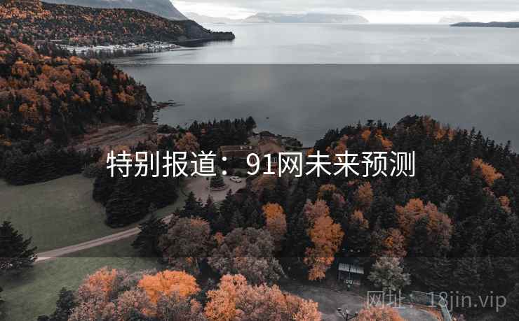 特别报道:91网未来预测
